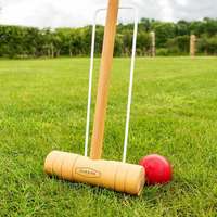 Through the Looking Glass Underwriting Opportunities Croquet Underwriter 