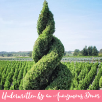 Through the Looking Glass Underwriting Opportunities Topiary Underwriter