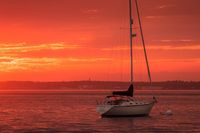 Into the Mystic: 2023 Benefit  Into the Mystic Sponsorship