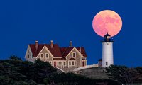 Into the Mystic: 2023 Benefit  Moondance Sponsorship