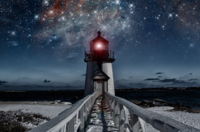 Into the Mystic: 2023 Benefit  Wild Night Sponsorship
